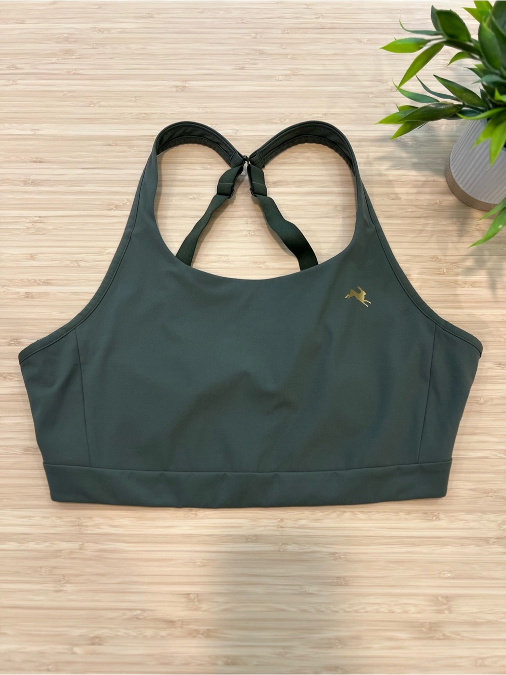Tracksmith Allston Women's Dark Green High-Support Sports Adjustable Bra Large